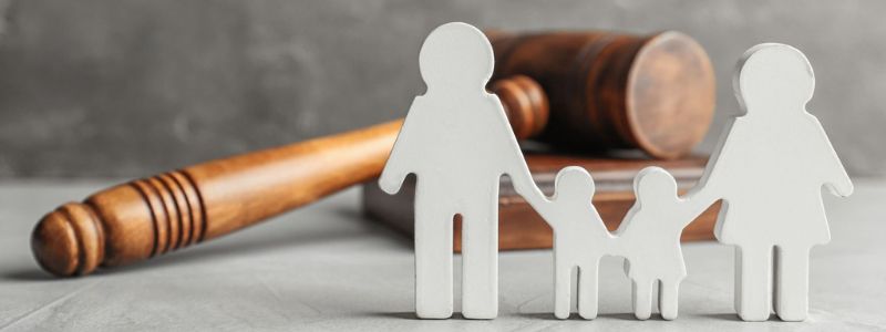 guardianship lawyers in Kolkata